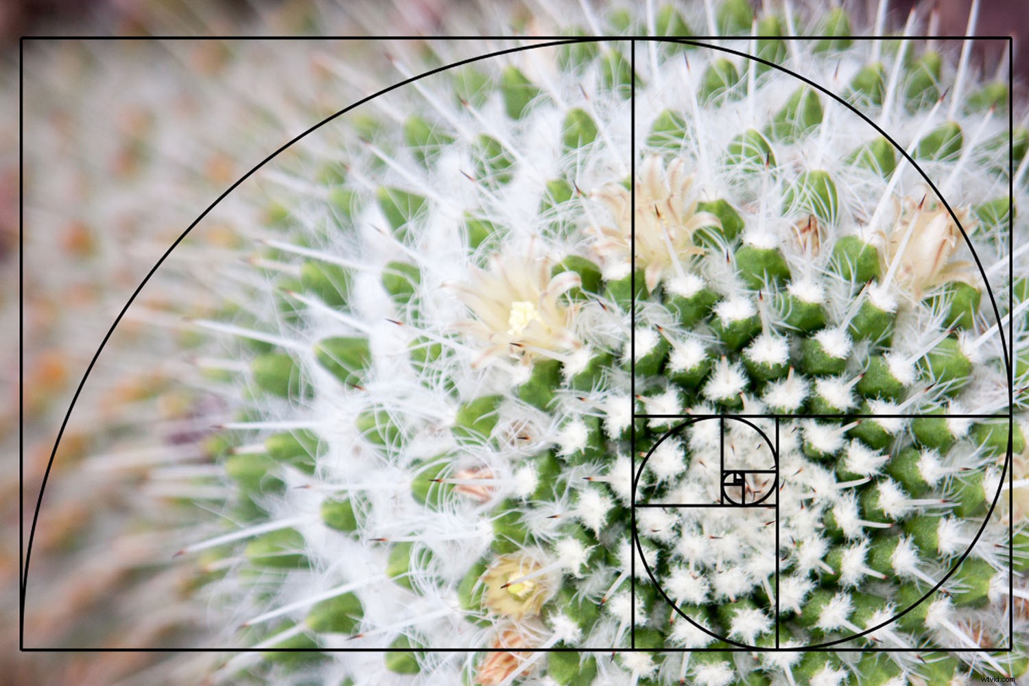 Mastering Composition in Photography: The Complete Modern Guide