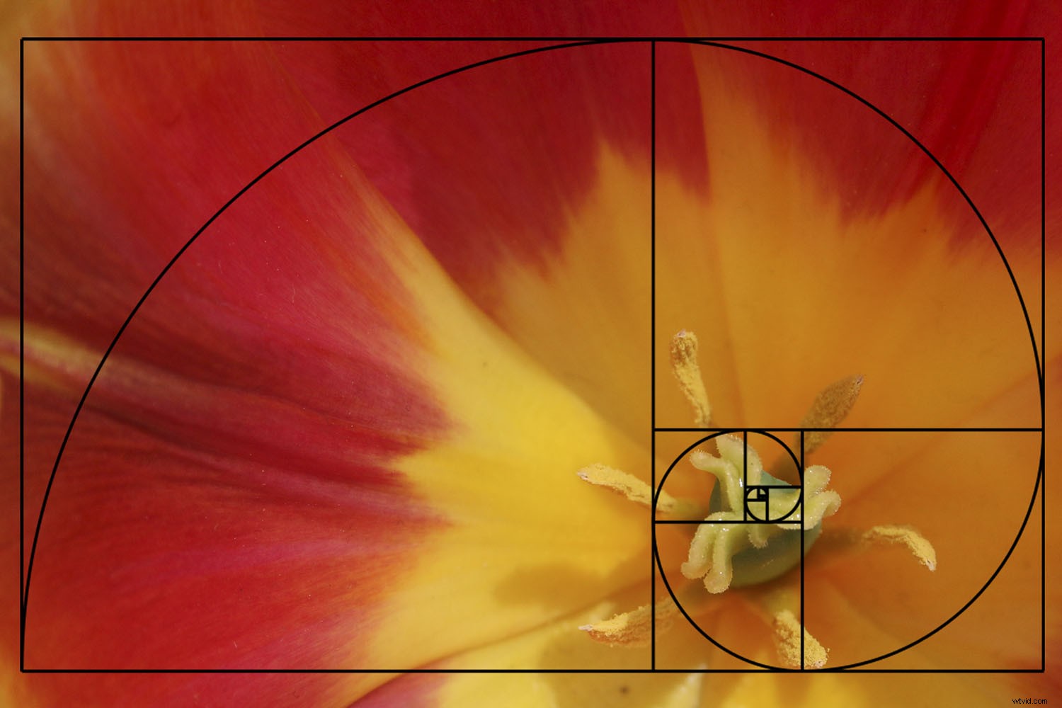 Mastering Composition in Photography: The Complete Modern Guide