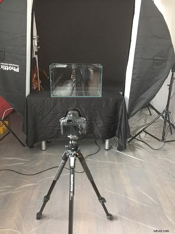 Master Water Splash Photography: Expert Tips for Stunning Shots