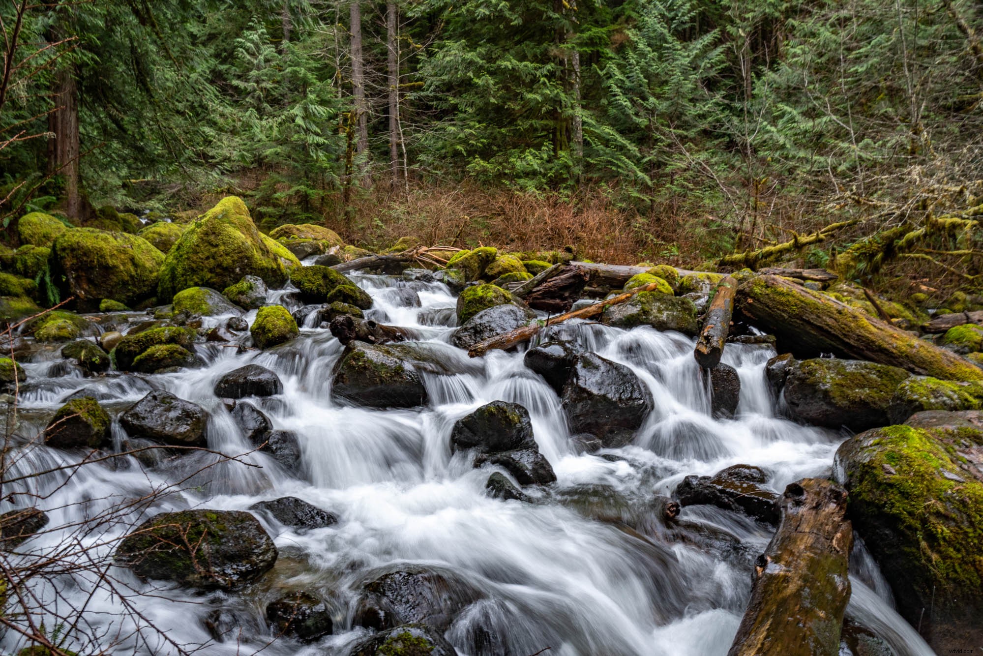 Tamron 17-70mm f/2.8 Di III-A VC RXD Review: Ultimate Versatile Sony APS-C Lens