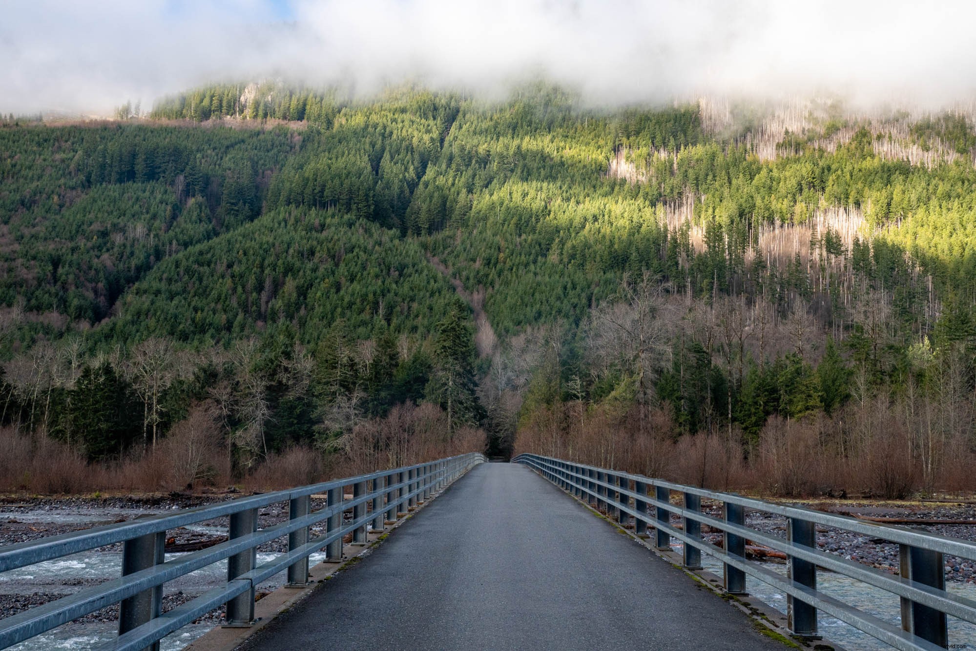 Tamron 17-70mm f/2.8 Di III-A VC RXD Review: Ultimate Versatile Sony APS-C Lens