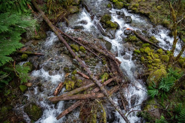 Tamron 17-70mm f/2.8 Di III-A VC RXD Review: Ultimate Versatile Sony APS-C Lens