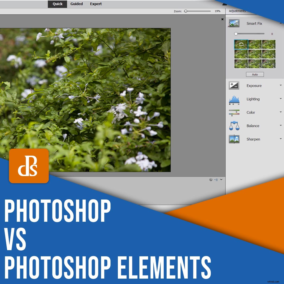 Photoshop Elements vs. Adobe Photoshop: Which Image Editor is Right for You?