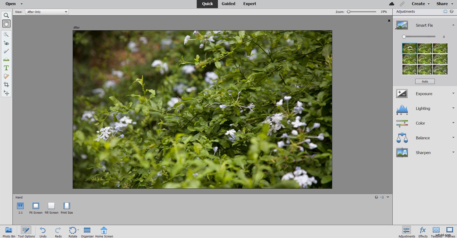 Photoshop Elements vs. Adobe Photoshop: Which Image Editor is Right for You?