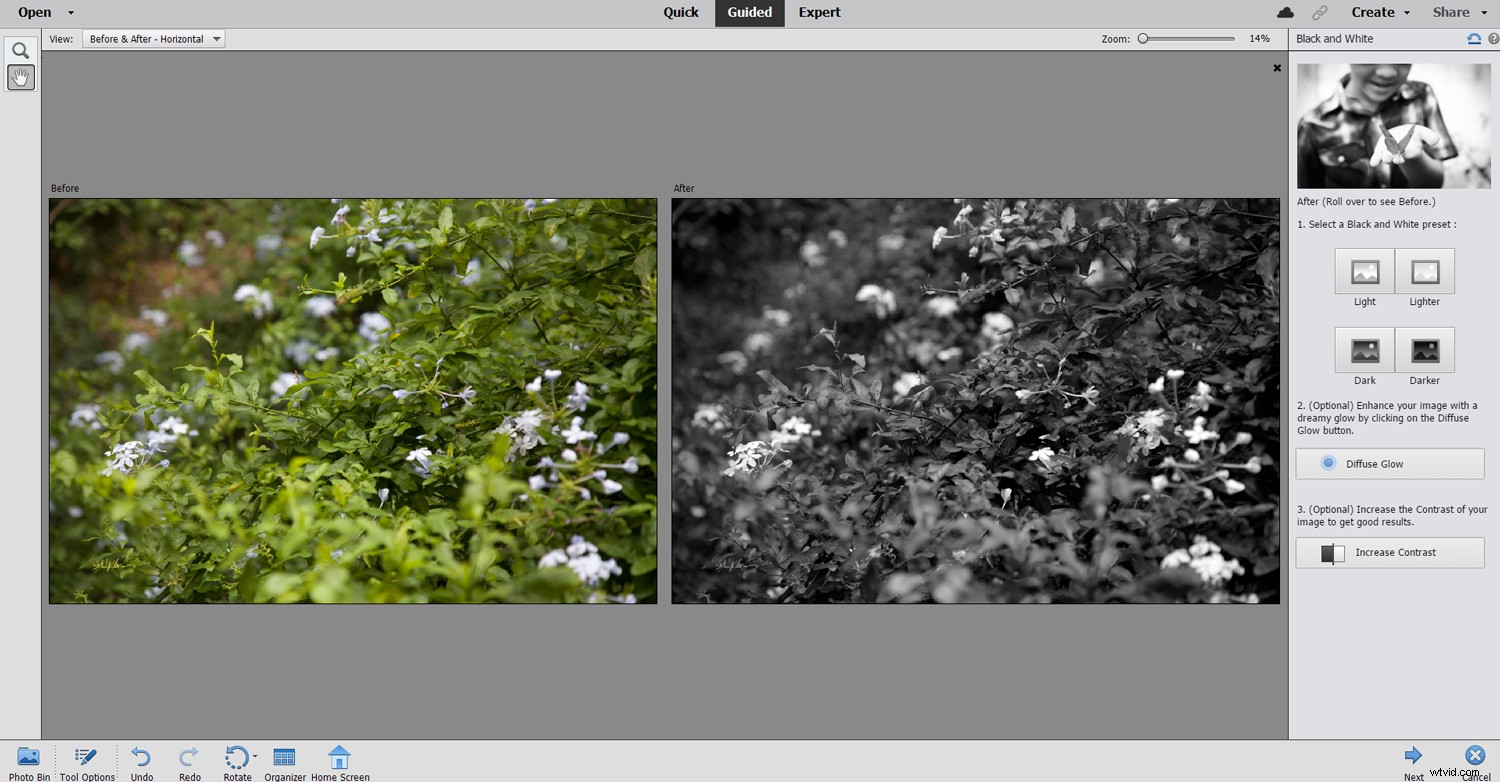 Photoshop Elements vs. Adobe Photoshop: Which Image Editor is Right for You?