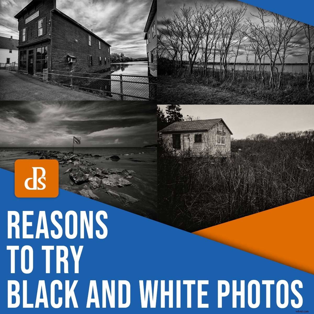 5 Compelling Reasons to Embrace Black & White Photography