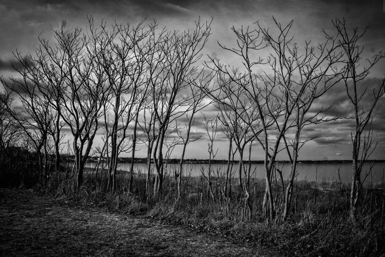 5 Compelling Reasons to Embrace Black & White Photography