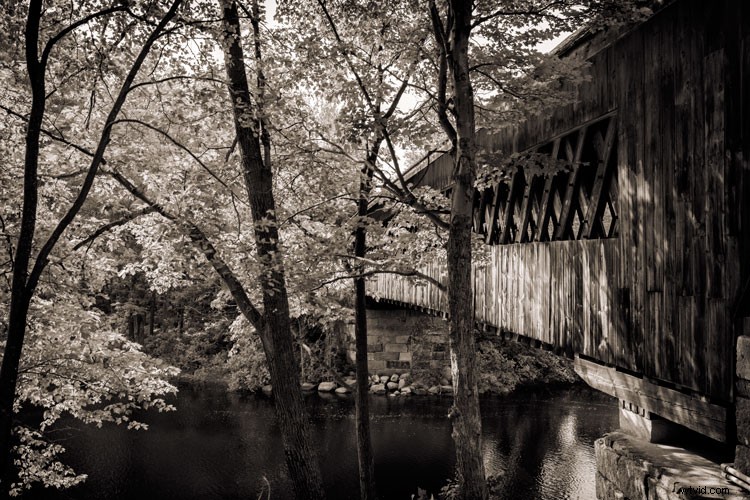 5 Compelling Reasons to Embrace Black & White Photography