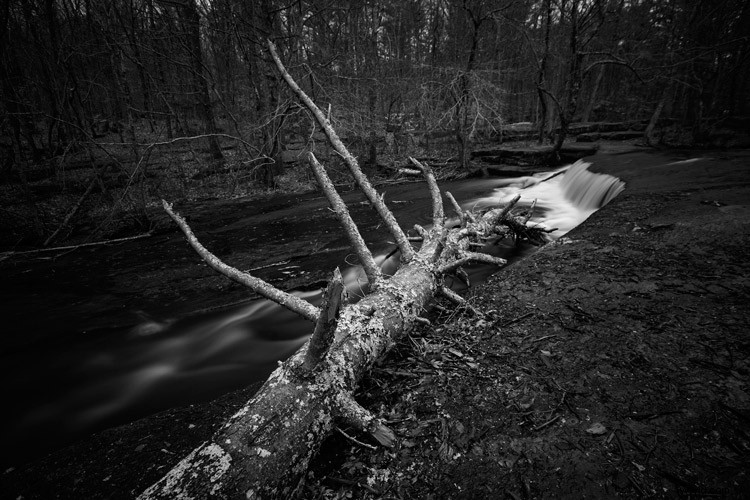 5 Compelling Reasons to Embrace Black & White Photography