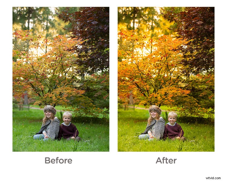 7 Expert Tips for Stunning Fall Portrait Photography