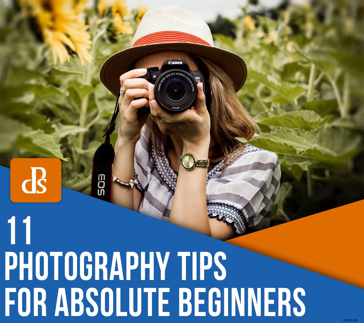 11 Essential Photography Tips for Absolute Beginners: Start Capturing Stunning Shots