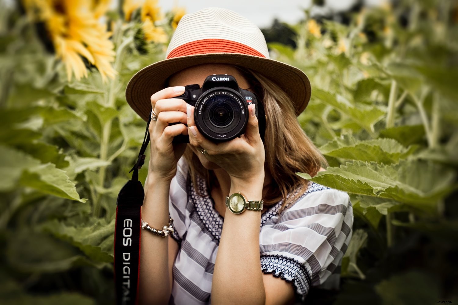 11 Essential Photography Tips for Absolute Beginners: Start Capturing Stunning Shots