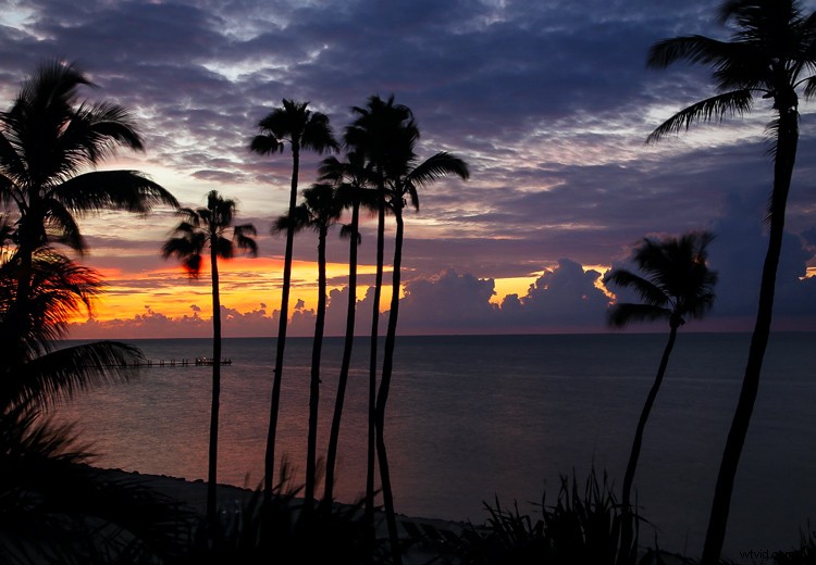 6 Proven Tips to Prevent Foggy Lenses and Capture Crystal-Clear Shots