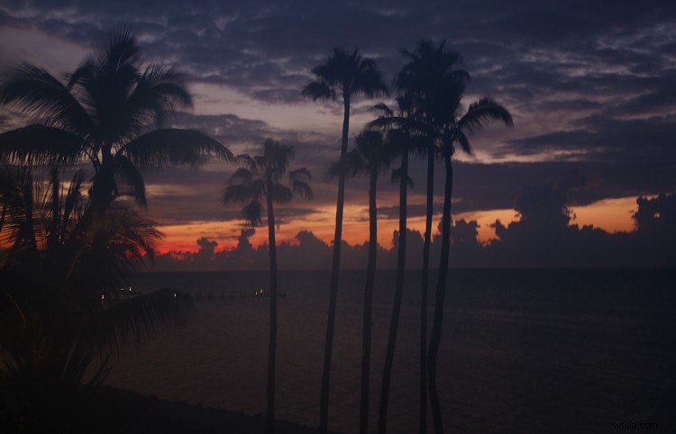 6 Proven Tips to Prevent Foggy Lenses and Capture Crystal-Clear Shots