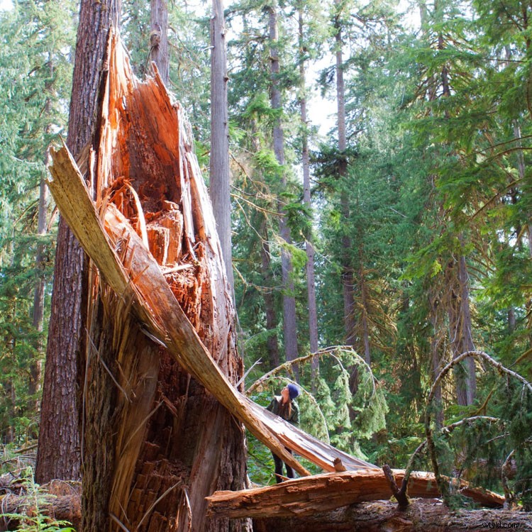 12 Proven Steps to Skyrocket Your Photography on Instagram