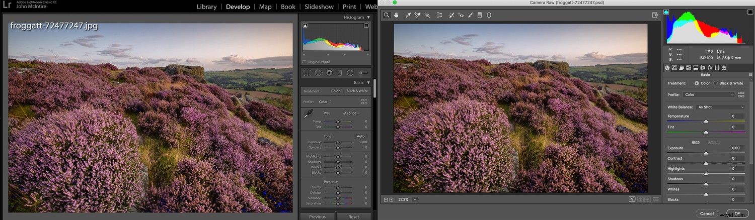 Master White Balance Correction in Photoshop: Step-by-Step Guide
