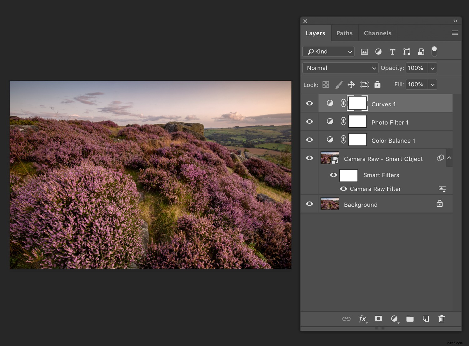 Master White Balance Correction in Photoshop: Step-by-Step Guide