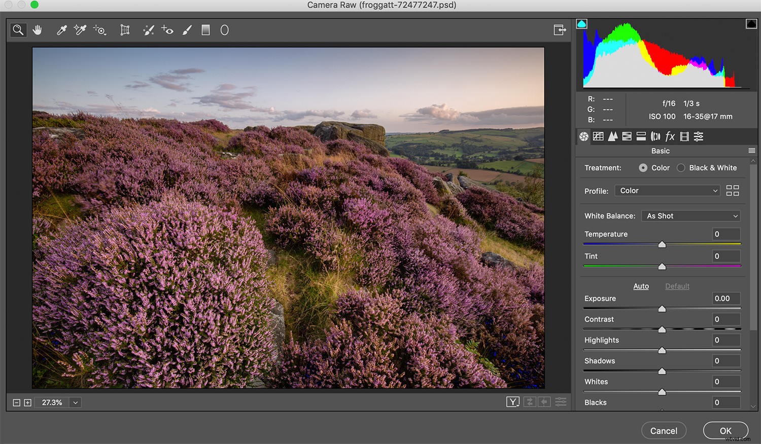 Master White Balance Correction in Photoshop: Step-by-Step Guide