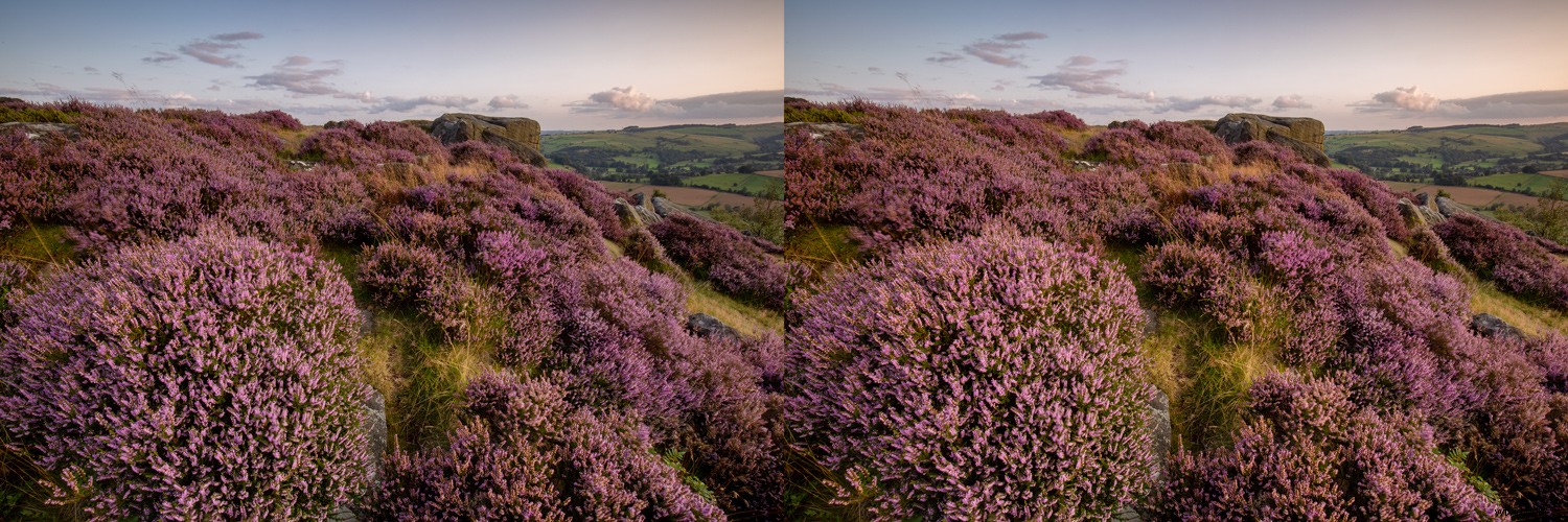 Master White Balance Correction in Photoshop: Step-by-Step Guide