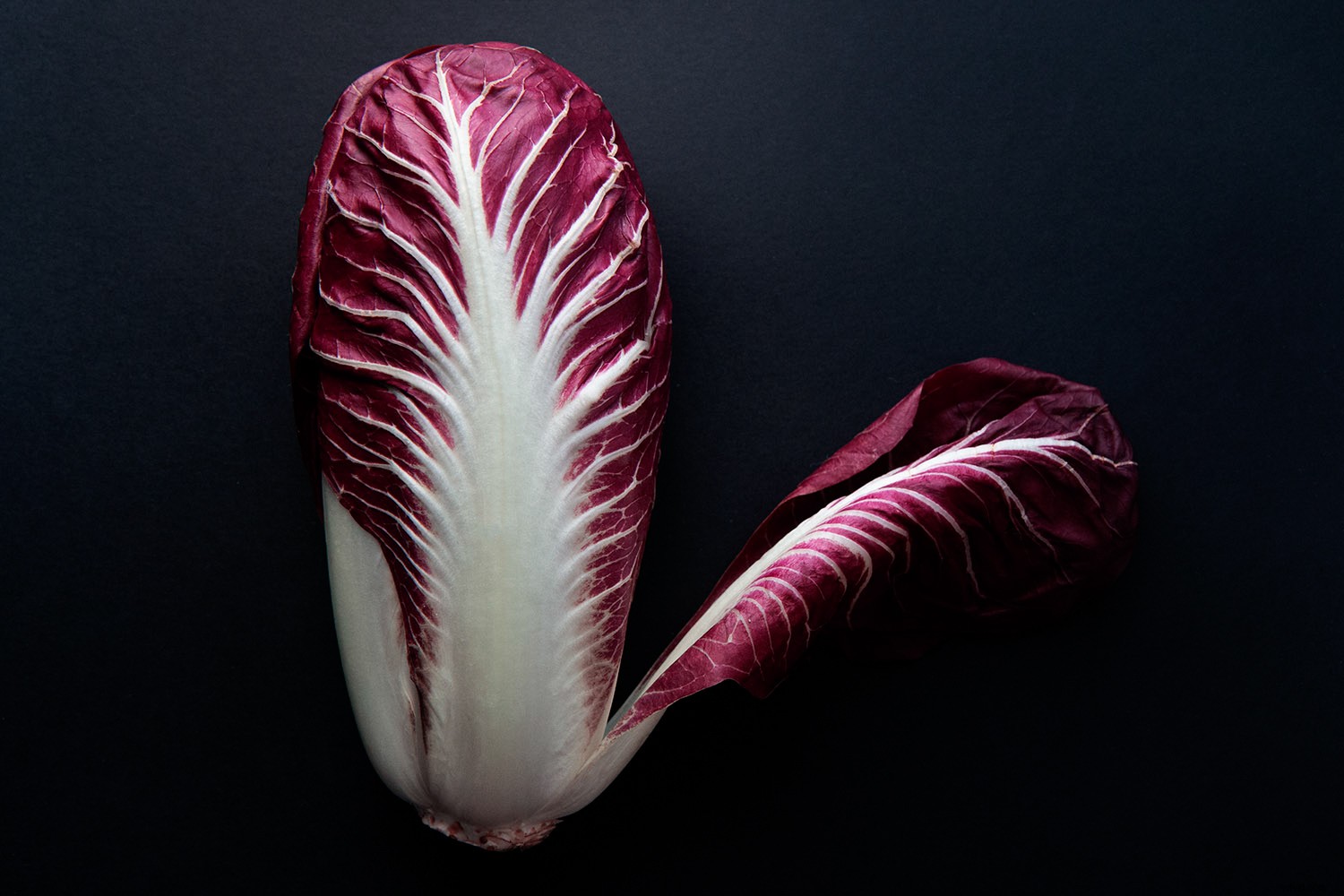 12 Expert Tips for Capturing Stunning Vegetable Photography