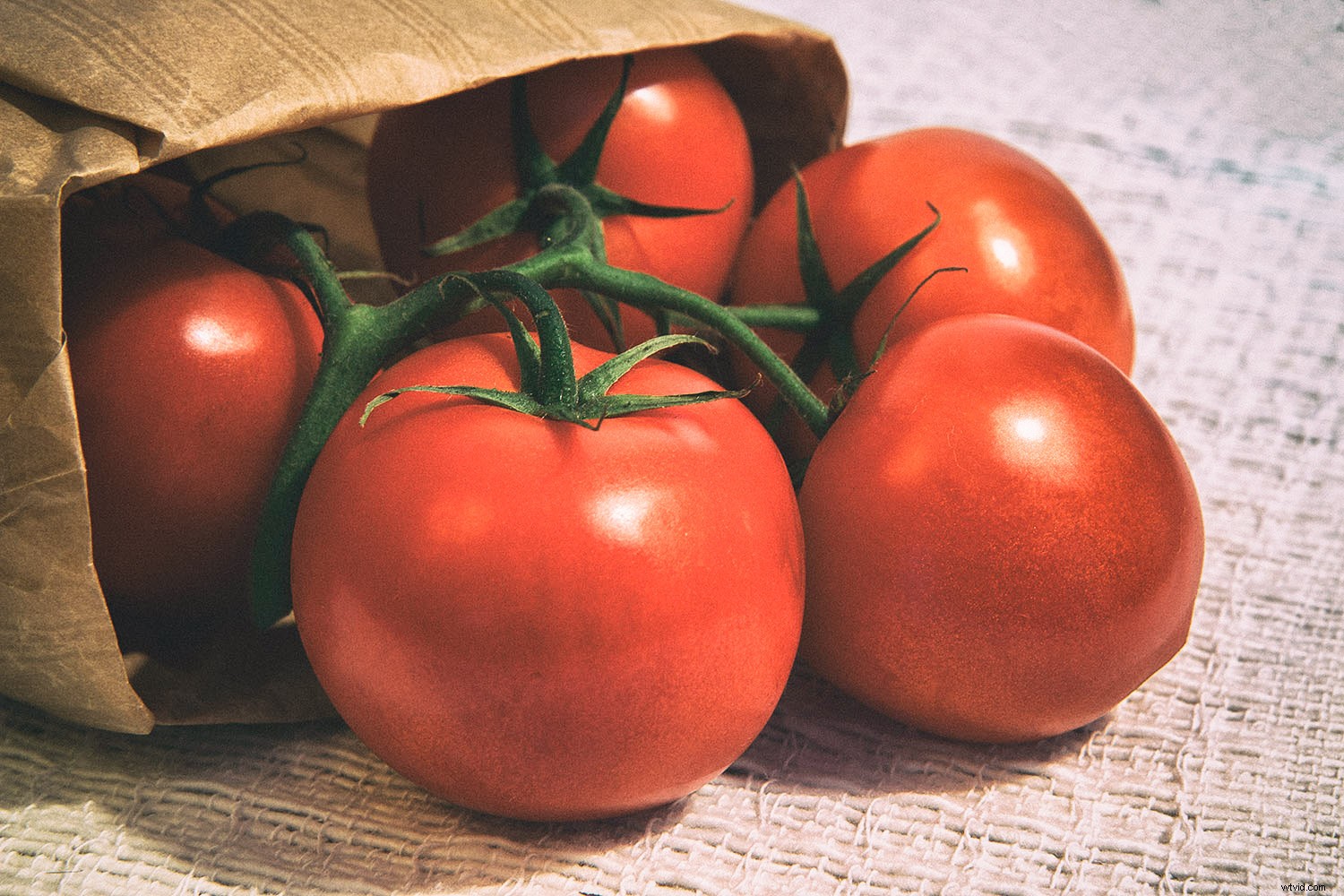 12 Expert Tips for Capturing Stunning Vegetable Photography