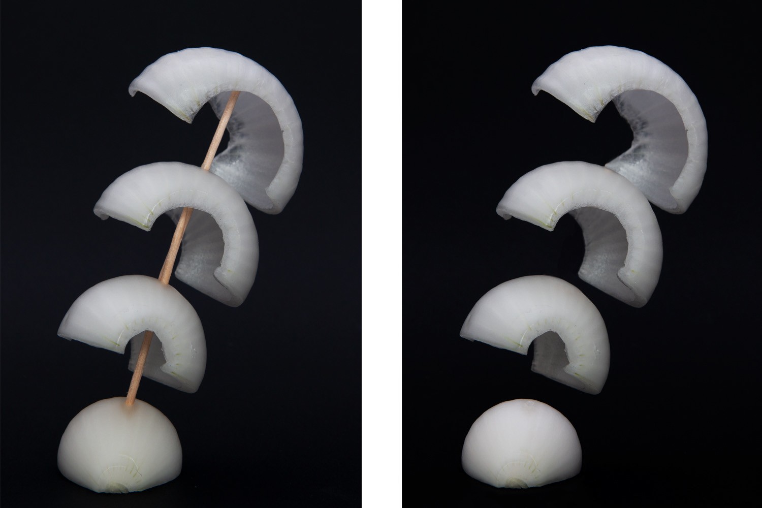 12 Expert Tips for Capturing Stunning Vegetable Photography