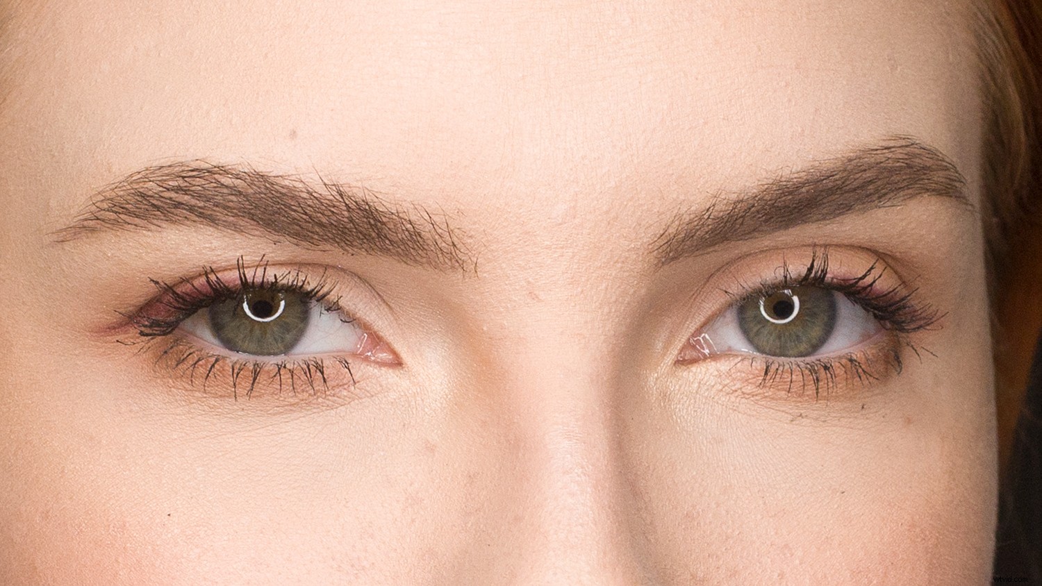 Master Ring Light Photography: Pro Tips for Stunning Portraits + 5 Creative Ideas