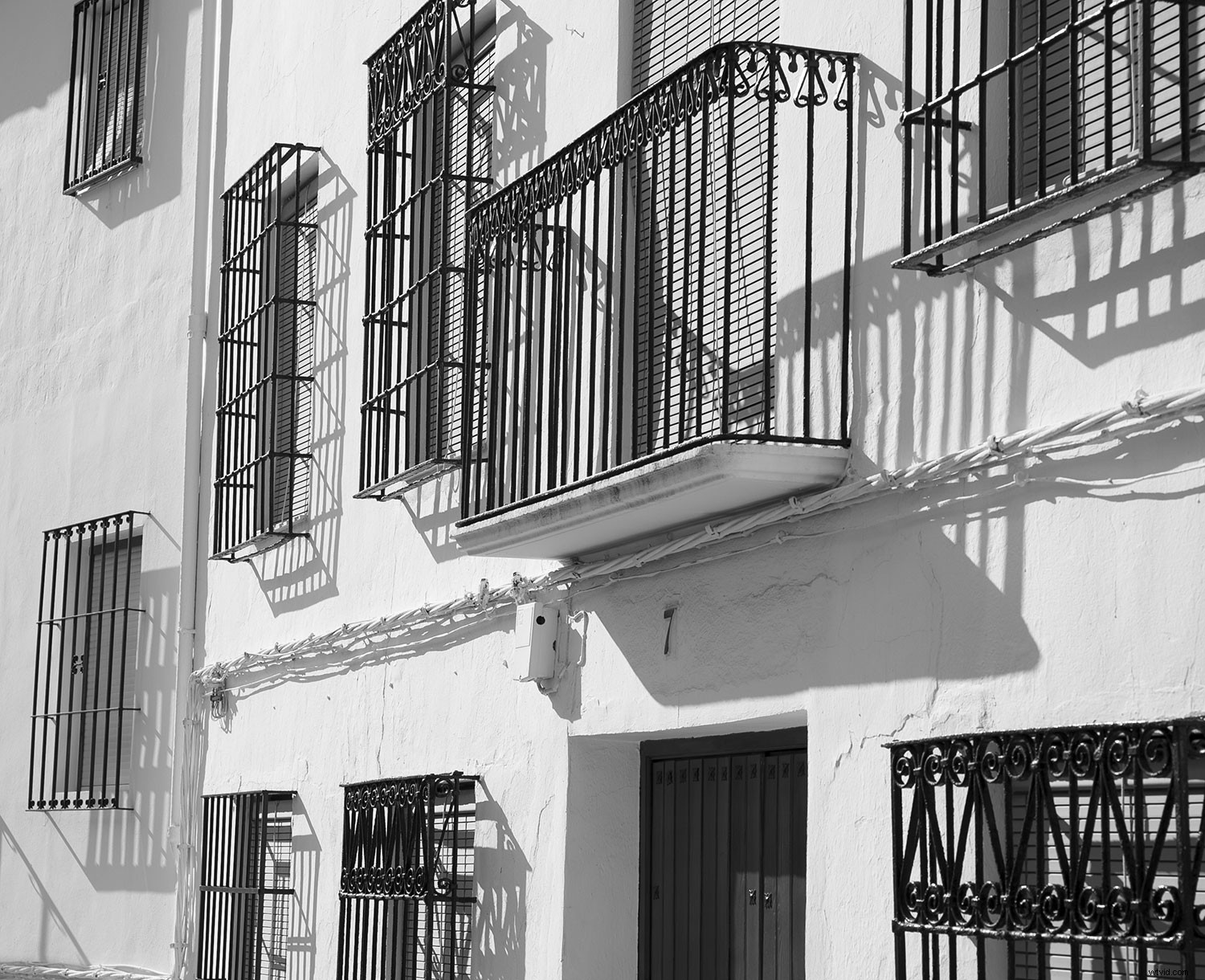 Master Black & White Photo Editing: Quick Expert Guide