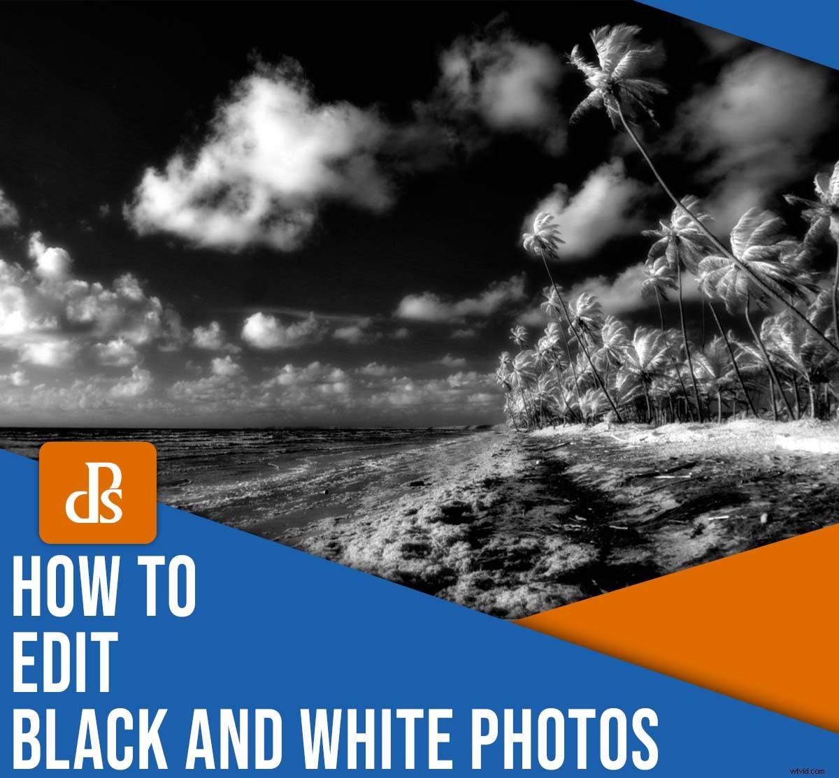Master Black & White Photo Editing: Quick Expert Guide