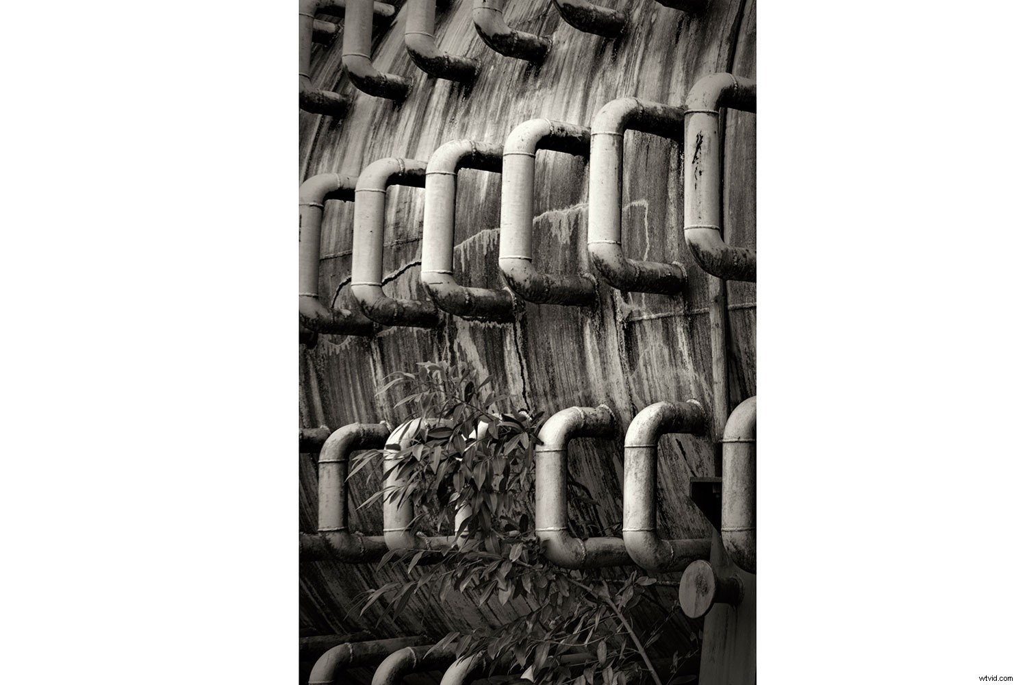 Master Black & White Photo Editing: Quick Expert Guide