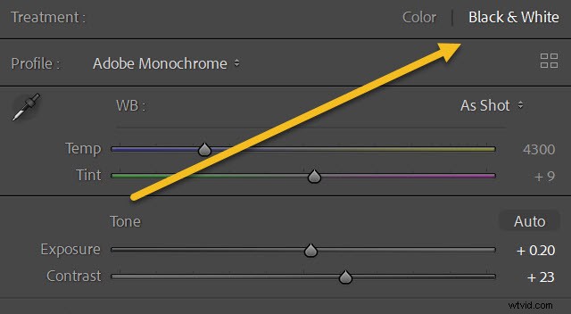 Master Black & White Photo Editing: Quick Expert Guide