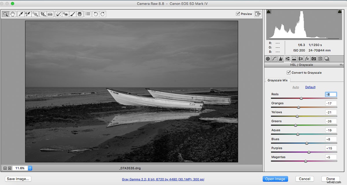 Master Black & White Photo Editing: Quick Expert Guide