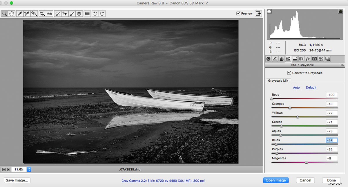 Master Black & White Photo Editing: Quick Expert Guide