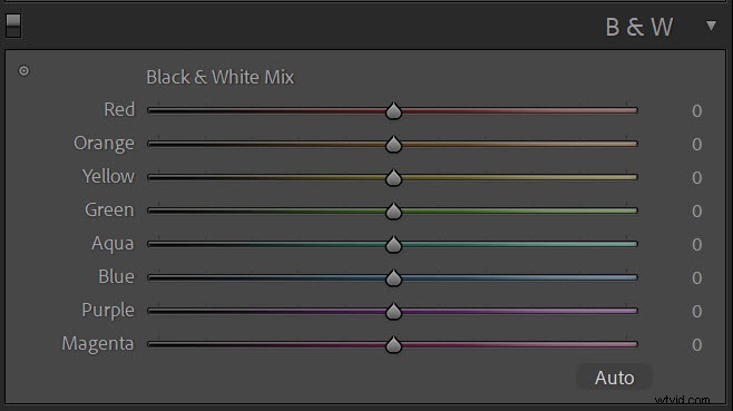 Master Black & White Photo Editing: Quick Expert Guide