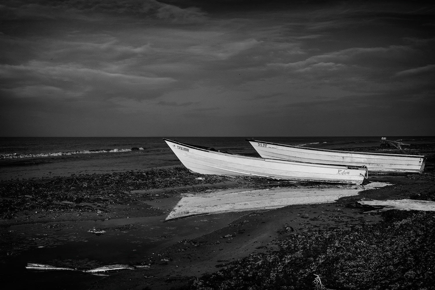 Master Black & White Photo Editing: Quick Expert Guide