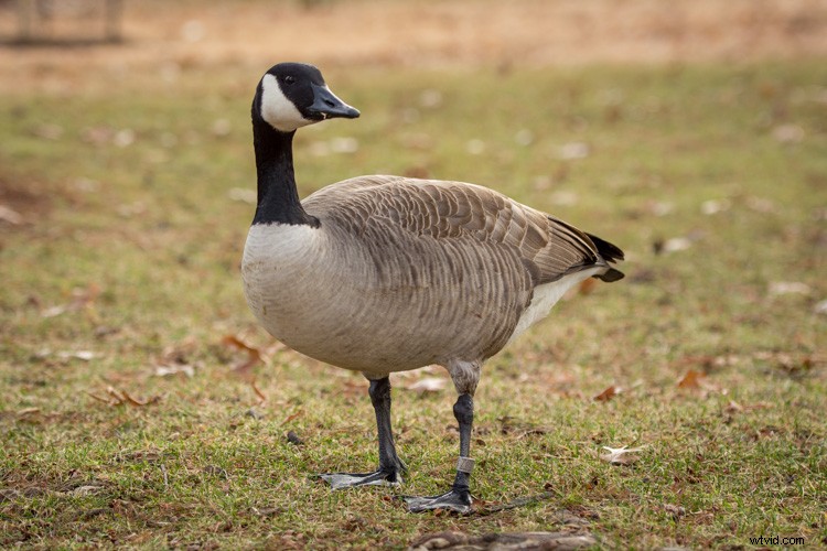 Mastering Dynamic Range in Photography: The Ultimate Comprehensive Guide