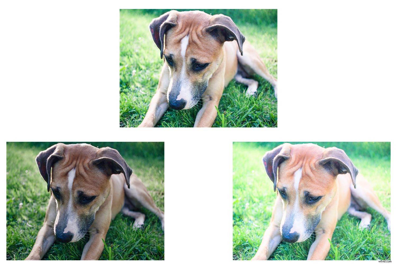 Master Bracketing in Photography: The Ultimate Guide to Perfect Exposures