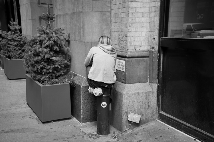 Master Photography: 12 Proven Steps to Become an Exceptional Photographer