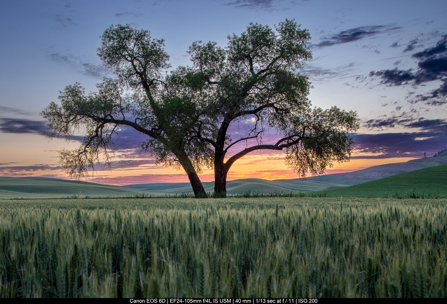 10 Expert Tips to Edit Landscape Photography Like a Pro