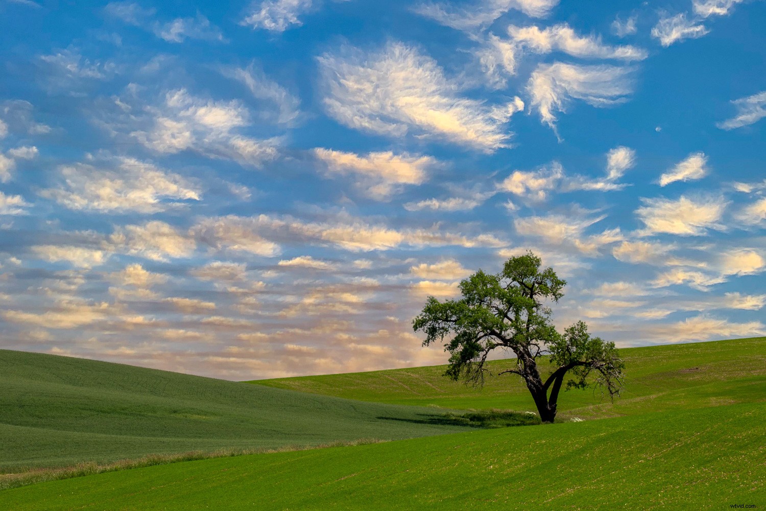 10 Expert Tips to Edit Landscape Photography Like a Pro