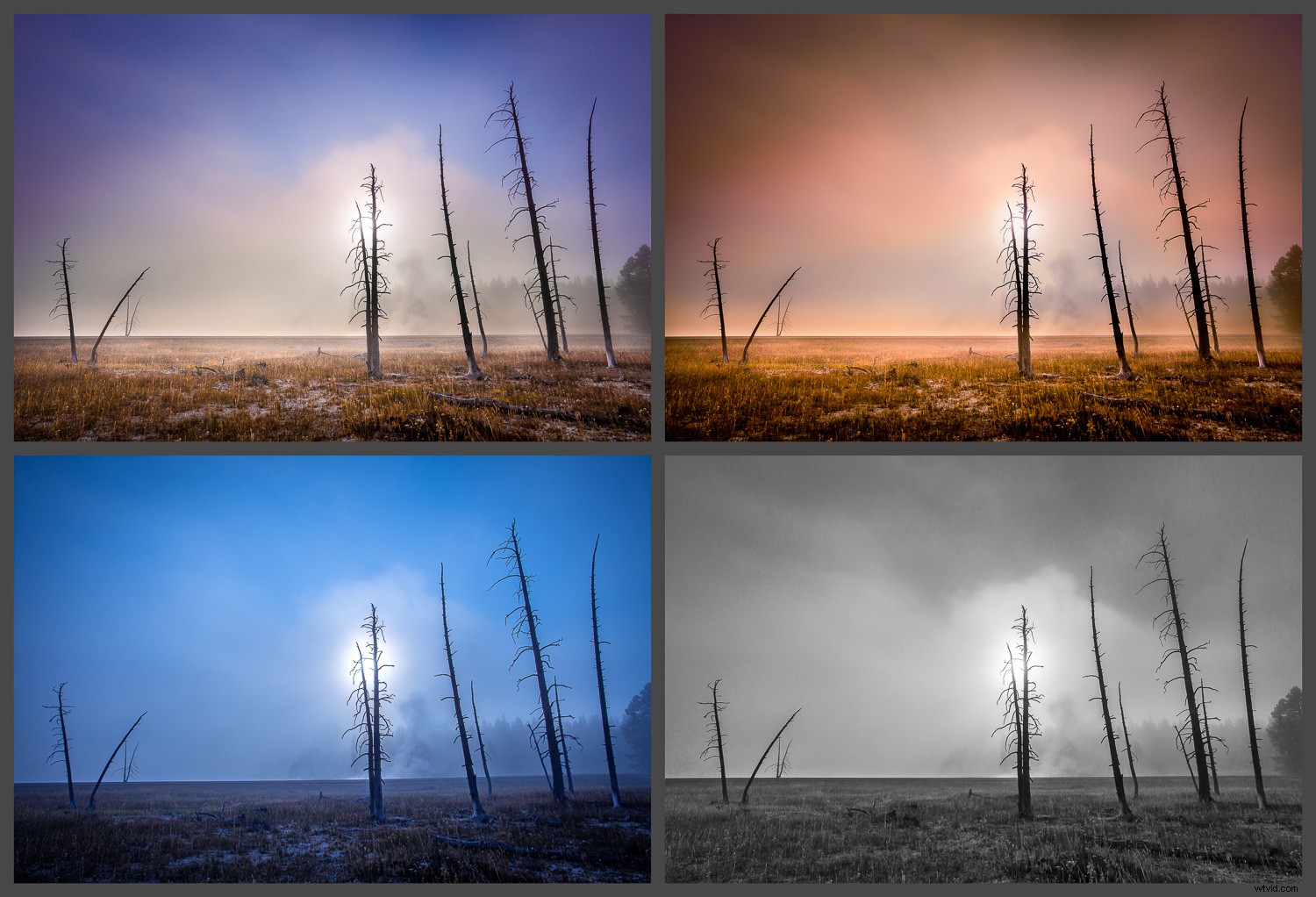 10 Expert Tips to Edit Landscape Photography Like a Pro