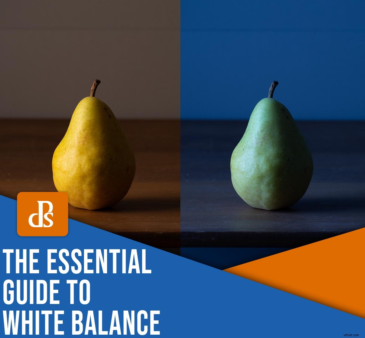 Mastering White Balance in Photography: The Ultimate Essential Guide