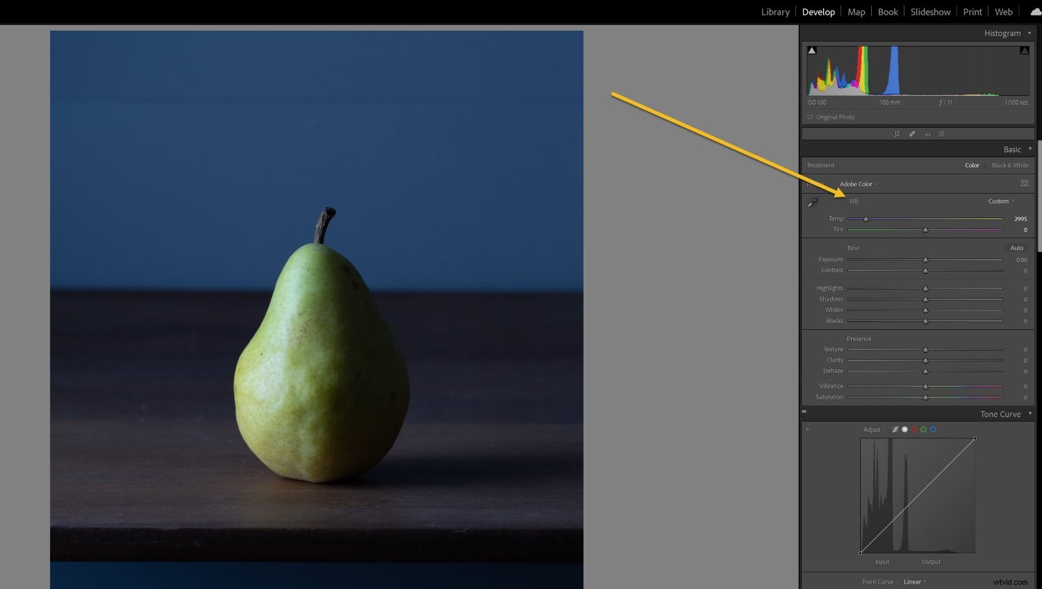 Mastering White Balance in Photography: The Ultimate Essential Guide