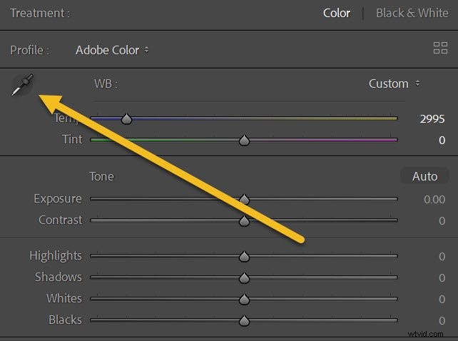 Mastering White Balance in Photography: The Ultimate Essential Guide