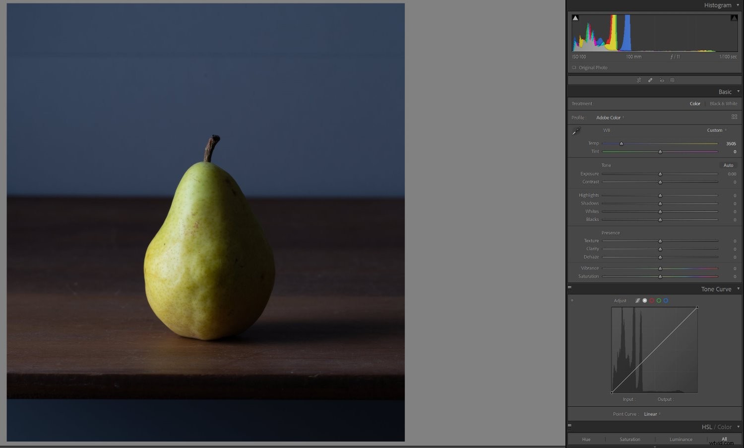 Mastering White Balance in Photography: The Ultimate Essential Guide