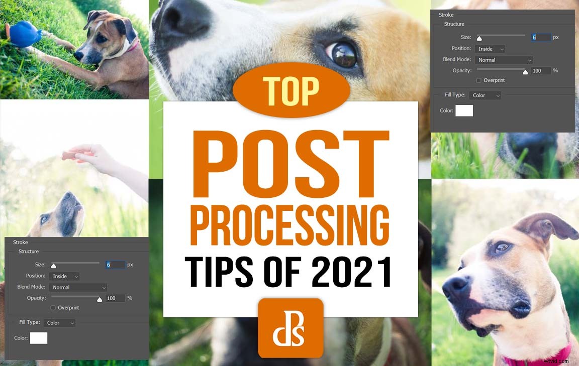 dPS s Top Post-Processing Tips of 2021: Lightroom, Photoshop & More