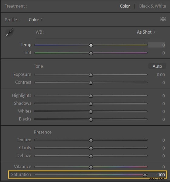 Vibrance vs. Saturation: The Ultimate Guide for Stunning Lightroom Photos