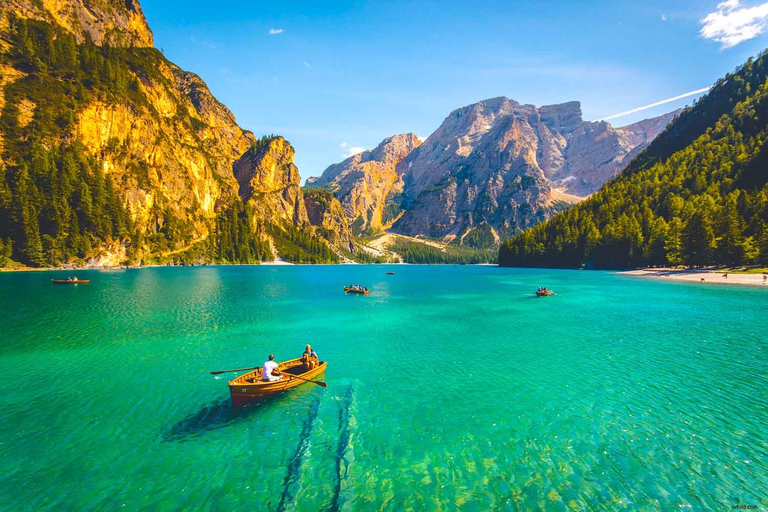 Vibrance vs. Saturation: The Ultimate Guide for Stunning Lightroom Photos