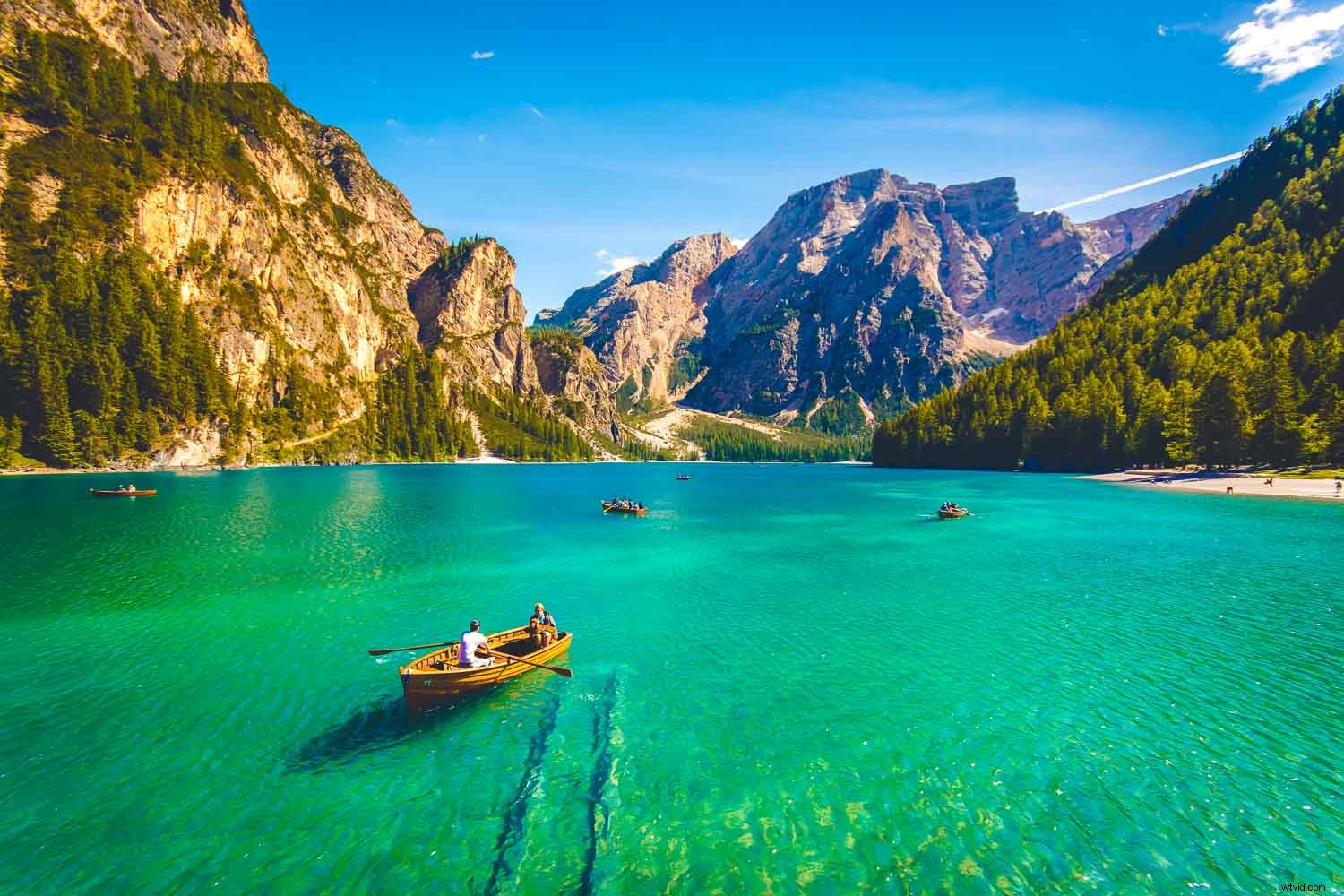 Vibrance vs. Saturation: The Ultimate Guide for Stunning Lightroom Photos