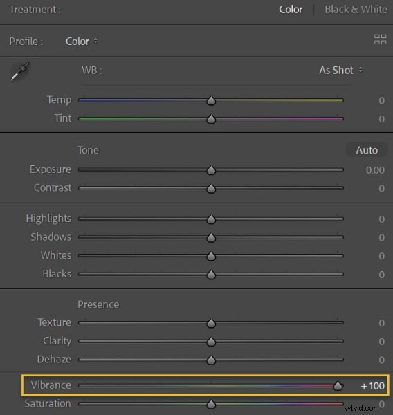 Vibrance vs. Saturation: The Ultimate Guide for Stunning Lightroom Photos